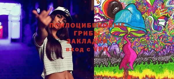 MDMA Дмитриев