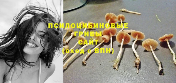 2c-b Дмитровск