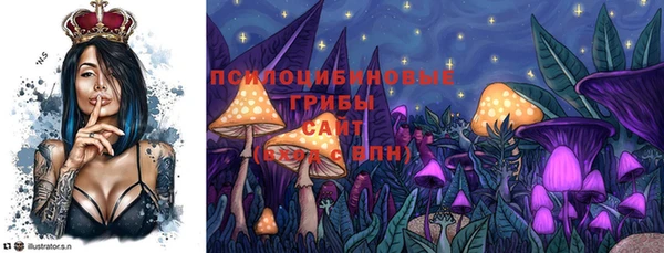 MDMA Дмитриев