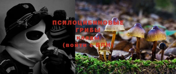 MDMA Дмитриев