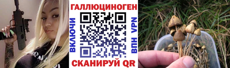 Галлюциногенные грибы мухоморы  Ростов 